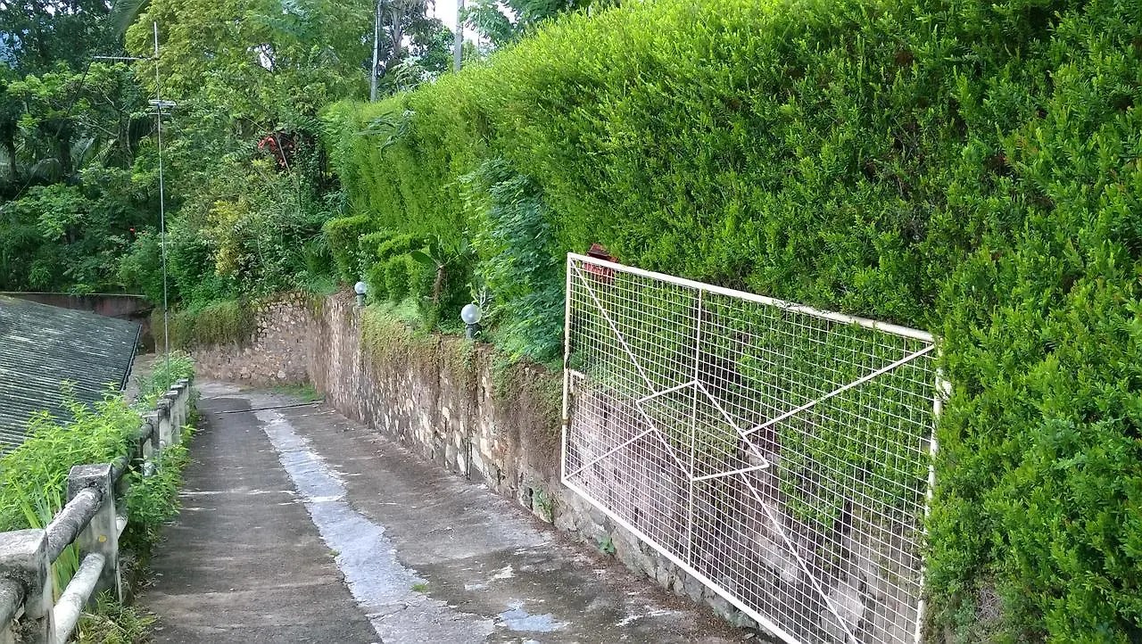Evergreen Kandy 0*,