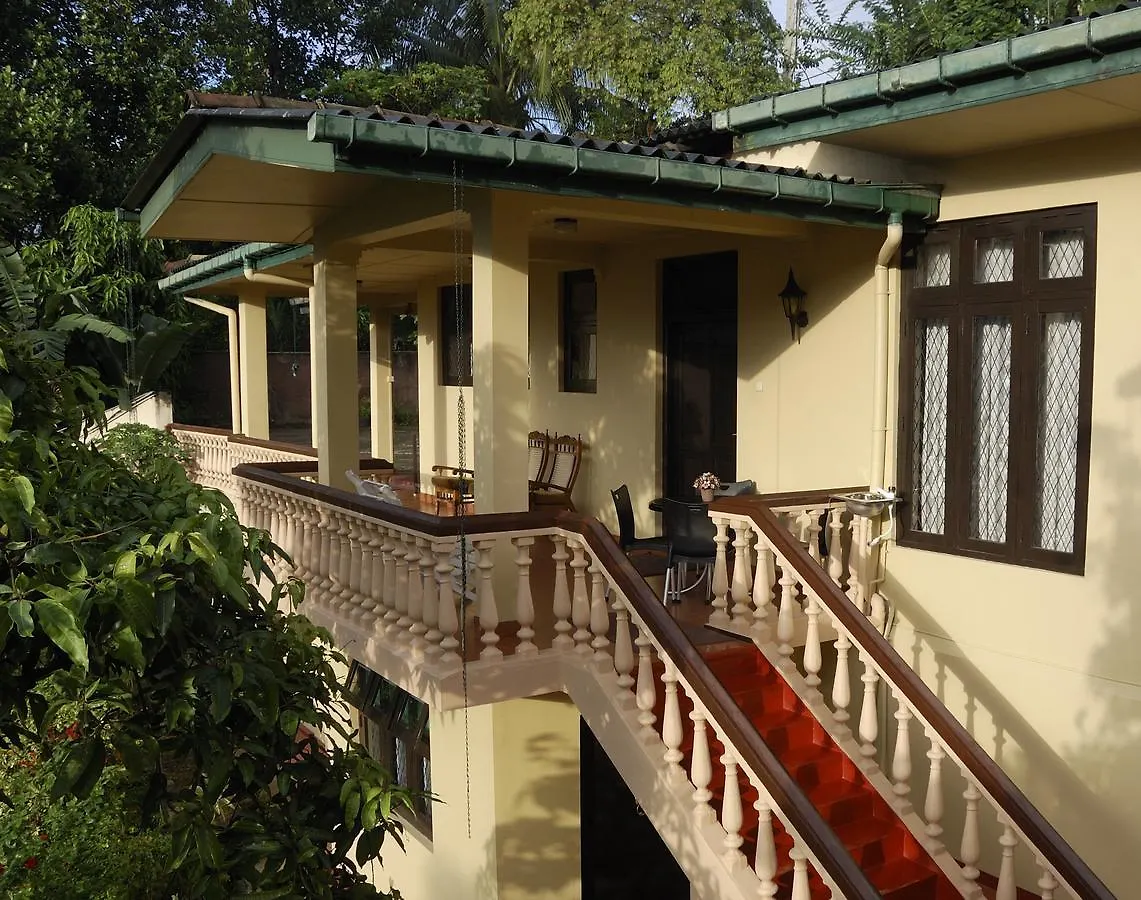 Evergreen Kandy