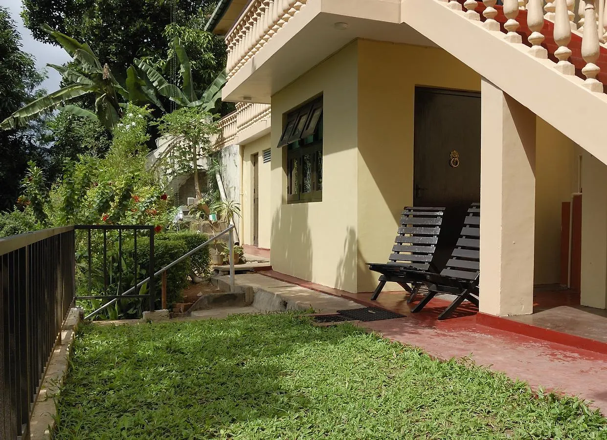 Evergreen Kandy