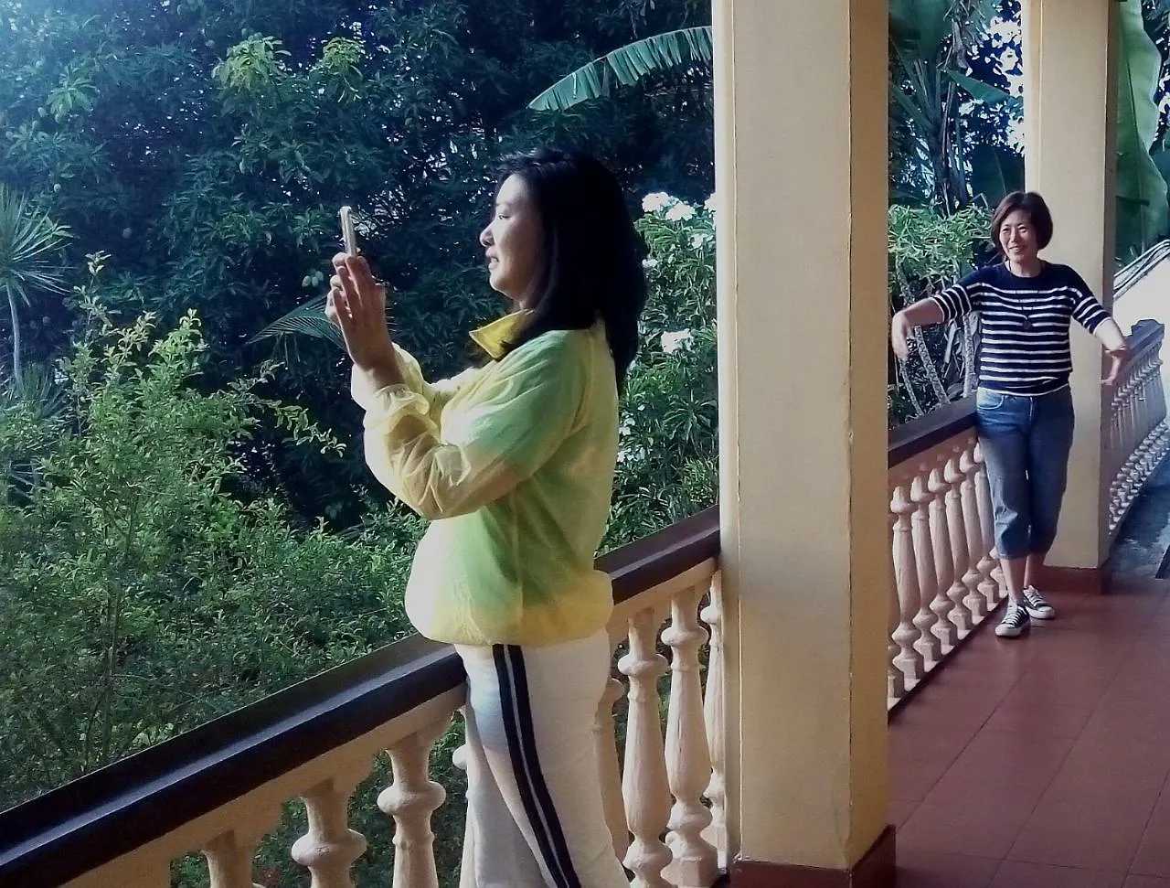 Evergreen Kandy 0*,