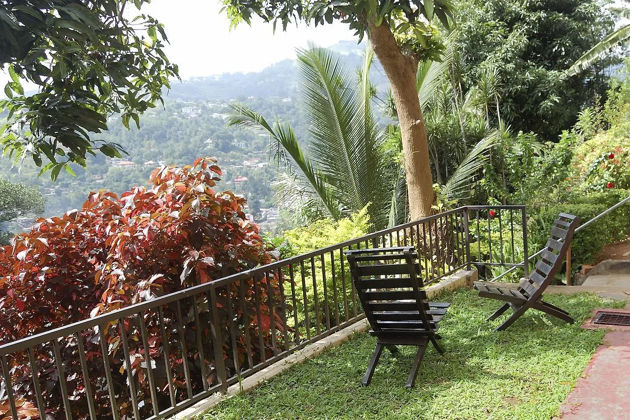 Evergreen Kandy 0*,